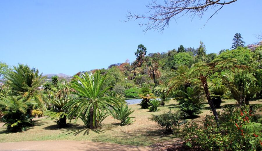 Madeira: Botanical Garden in a Tuk-Tuk Tour - Why This Short Tour Works Well in Funchal
