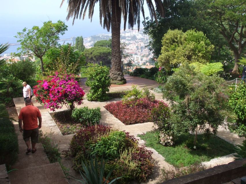 Madeira: Botanical Garden in a Tuk-Tuk Tour - One Hour Among 80,000 Square Meters of Gardens