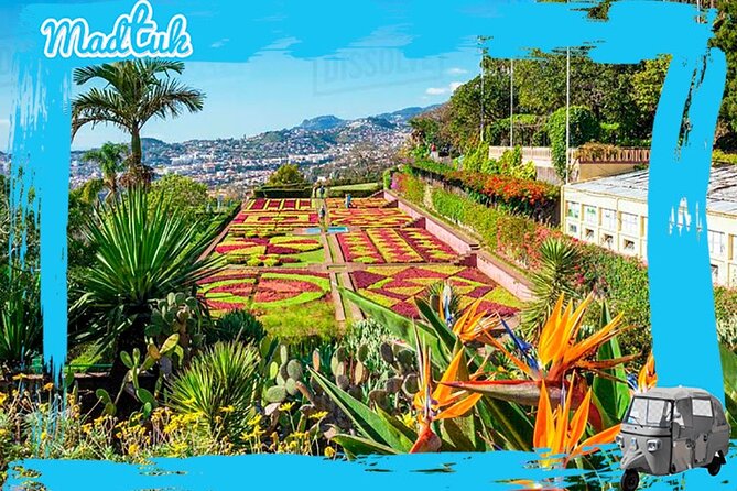 Madeira Botanical Gardens and Old Town Tuk Tuk Tour by MadTuk - Key points at a glance