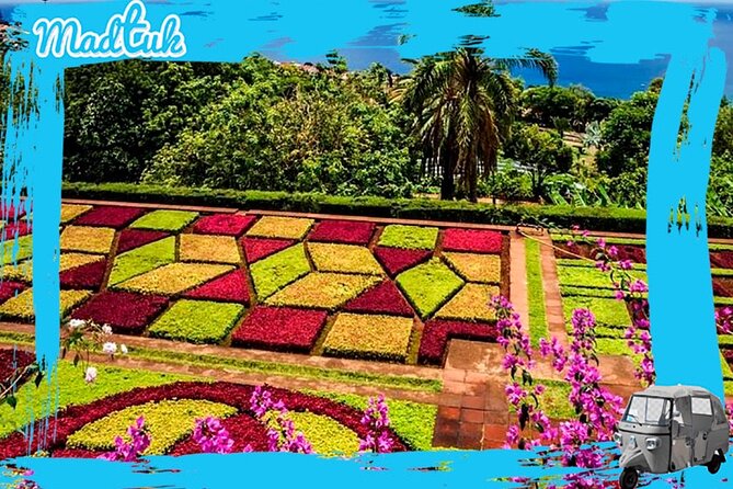 Madeira Botanical Gardens and Old Town Tuk Tuk Tour by MadTuk - What the praise tells you about the experience