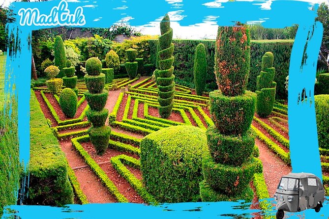 Madeira Botanical Gardens and Old Town Tuk Tuk Tour by MadTuk - Riding the road to Madeira Botanical Garden