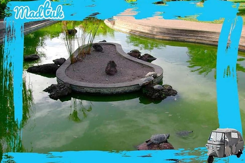 Madeira: Botanical Gardens + Old Town Tuk-Tuk Tour by MadTuk - Key points at a glance