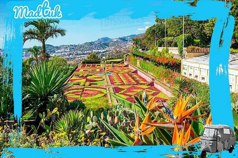 Madeira: Botanical Gardens + Old Town Tuk-Tuk Tour by MadTuk - What you are really buying for $44