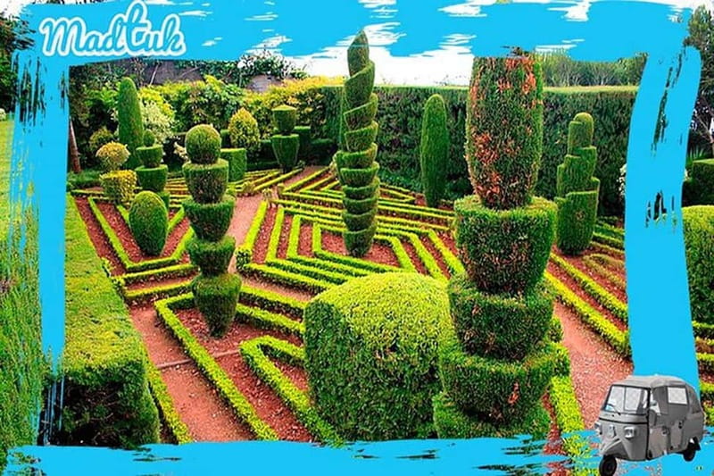 Madeira: Botanical Gardens + Old Town Tuk-Tuk Tour by MadTuk - The tuk-tuk ride to the Botanical Garden