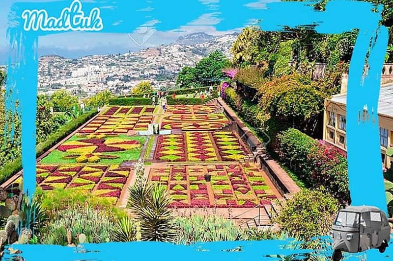 Madeira: Botanical Gardens + Old Town Tuk-Tuk Tour by MadTuk - Returning through Funchal’s market and Old Town