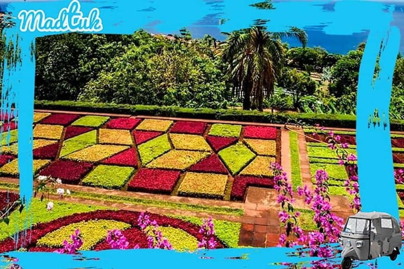 Madeira: Botanical Gardens + Old Town Tuk-Tuk Tour by MadTuk - Who will enjoy this tour most