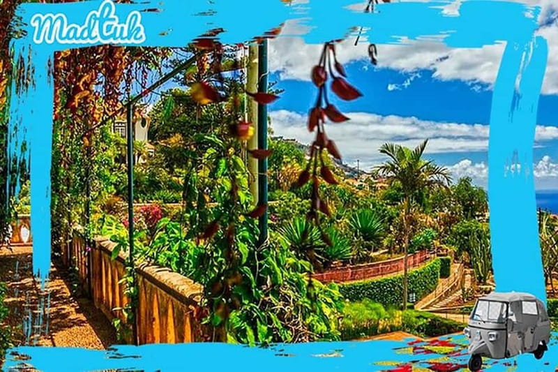 Madeira: Botanical Gardens + Old Town Tuk-Tuk Tour by MadTuk - Starting in Funchal and passing the marina