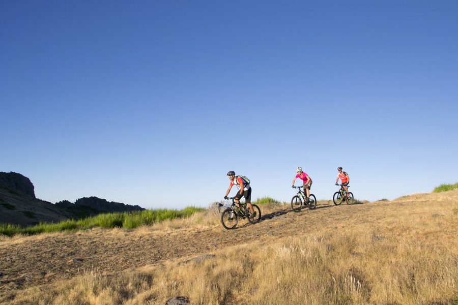 Madeira Botanical Levels Bike Tour – Scenic Trail Experience - Key points at a glance