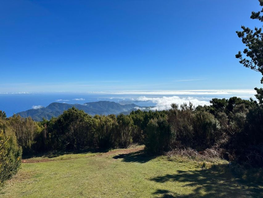 Madeira Botanical Levels Bike Tour – Scenic Trail Experience - What the guide adds to the ride