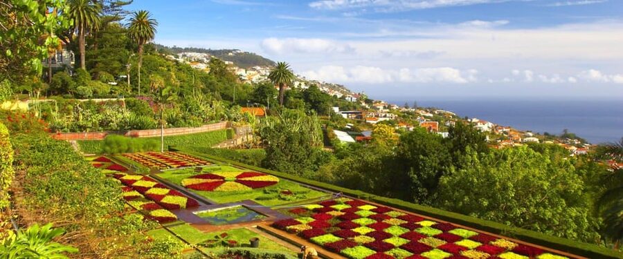 Madeira: Botanical, Monte Palace, and Palheiro Gardens - Why the tuk-tuk matters on Madeira’s steep terrain