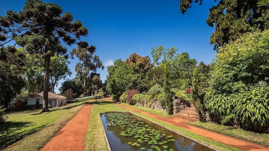 Madeira: Botanical, Monte Palace, and Palheiro Gardens - Who should book this garden tour?