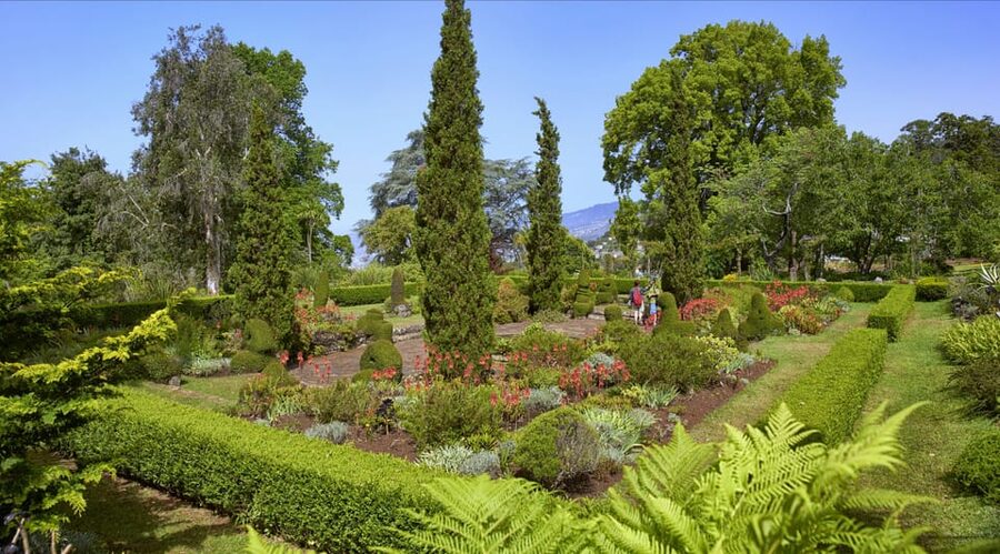 Madeira: Botanical, Monte Palace, and Palheiro Gardens - Should you book it?