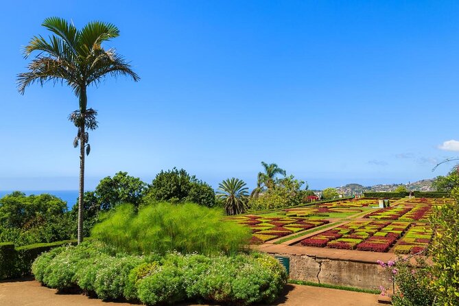 Madeira Highlights: Toboggan, Garden & Cable Car (All-Inclusive) - Five things to know before you go
