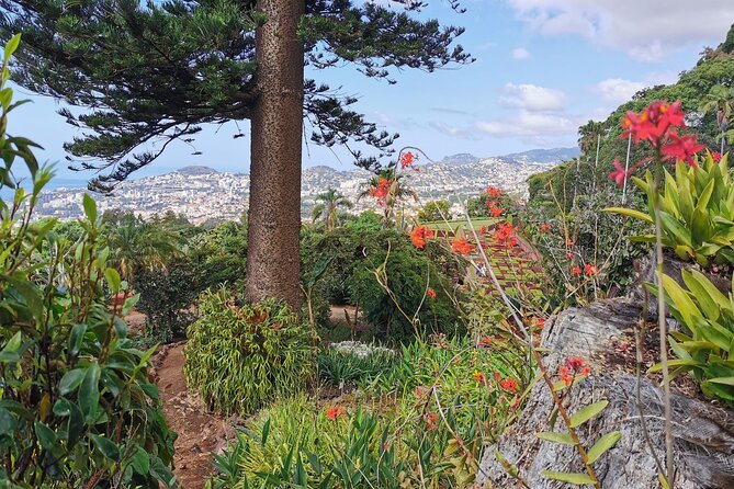 Madeira Highlights: Toboggan, Garden & Cable Car (All-Inclusive) - Is $199.13 a fair price?