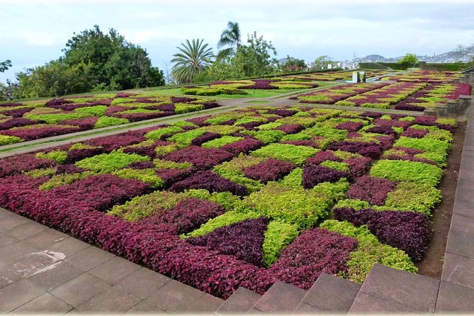 Madeira Highlights: Toboggan, Garden & Cable Car (All-Inclusive) - Who should book this Madeira outing?