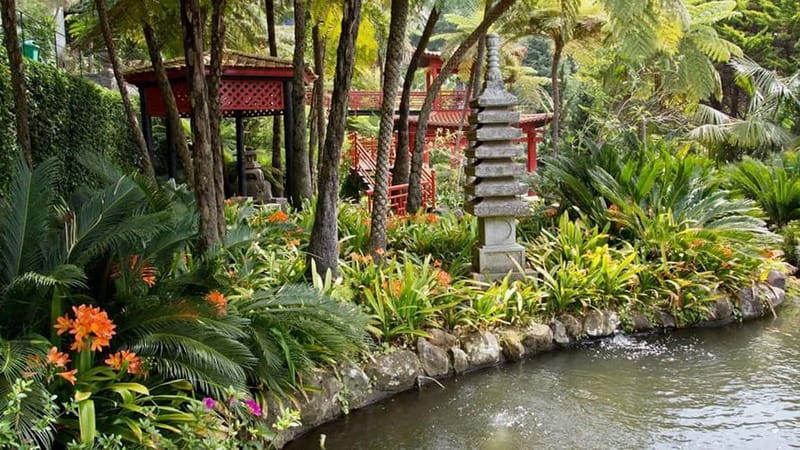 Madeira: Monte Tropical Garden + Old Town Tuk Tour by MadTuk - Key things to know before booking