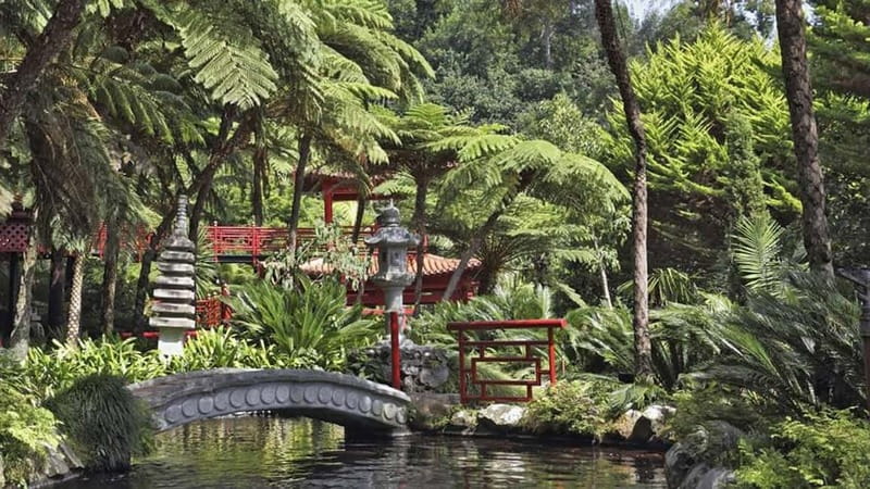 Madeira: Monte Tropical Garden + Old Town Tuk Tour by MadTuk - Monte Palace Tropical Garden: allow the full 90 minutes