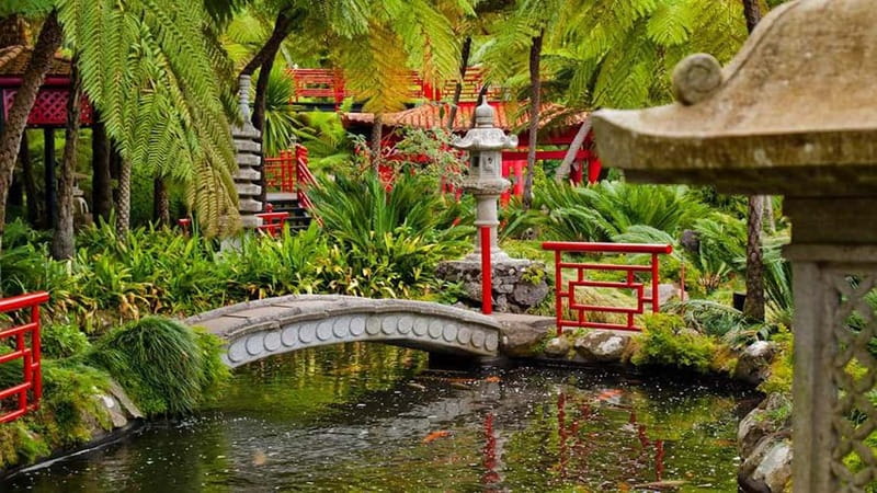 Madeira: Monte Tropical Garden + Old Town Tuk Tour by MadTuk - What the $56 price really includes