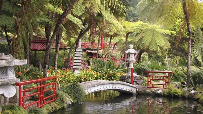 Madeira: Monte Tropical Garden + Old Town Tuk Tour by MadTuk - Who will enjoy this tour most