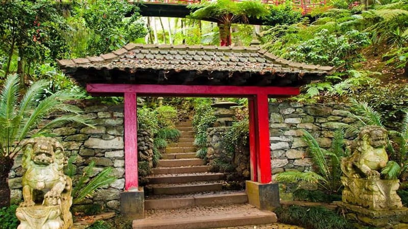 Madeira: Monte Tropical Garden + Old Town Tuk Tour by MadTuk - Practical booking advice for a smoother visit