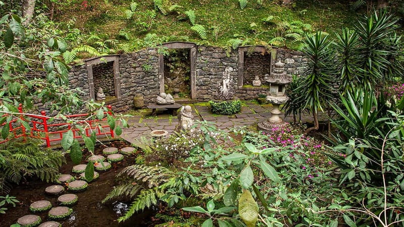 Madeira: Monte Tropical Garden + Old Town Tuk Tour by MadTuk - Should you book the Monte tuk-tuk tour?