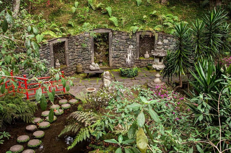 Madeira: Monte Tropical Garden + Old Town Tuk Tour by MadTuk - The climb toward Monte