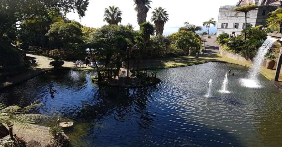 Madeira: Private Half-Day Guided Gardens Tour - Key points to know before booking