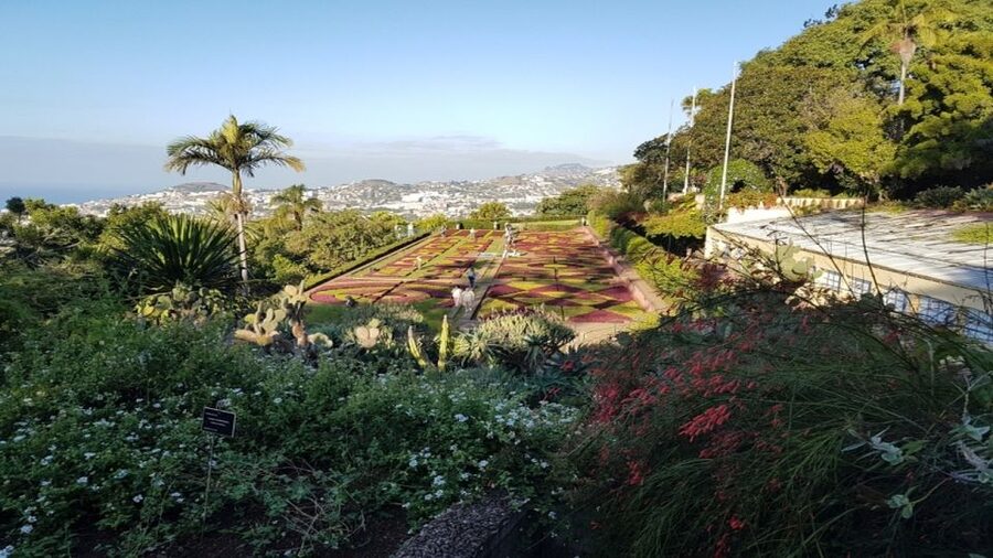 Madeira: Private Half-Day Guided Gardens Tour - Why Madeira’s gardens deserve half a day