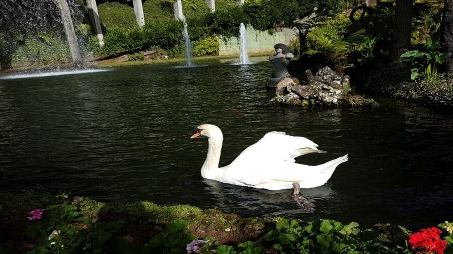 Madeira: Private Half-Day Guided Gardens Tour - The Botanical Garden and the Garden of the Atlantic