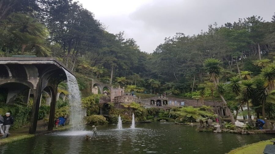 Madeira: Private Half-Day Guided Gardens Tour - Port and hotel pickup in Madeira