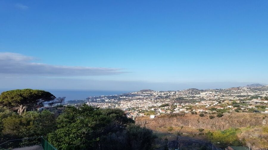 Madeira: Private Half-Day Guided Gardens Tour - Is $129 a fair price?