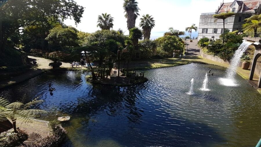 Madeira: Private Half-Day Guided Gardens Tour - Monte Palace Tropical Garden: plants, water, and animals
