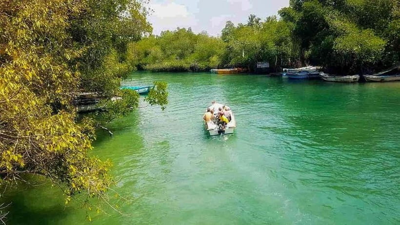 Madu River Boat Tour and Cinnamon Garden visit - Starting At Madu River Safari By Nilwala