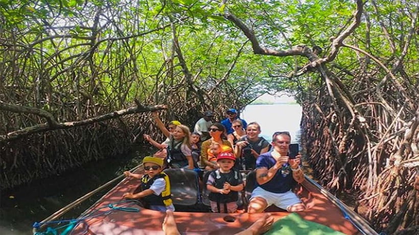 Madu River Boat Tour and Cinnamon Garden visit - Cinnamon Island And The Garden Visit