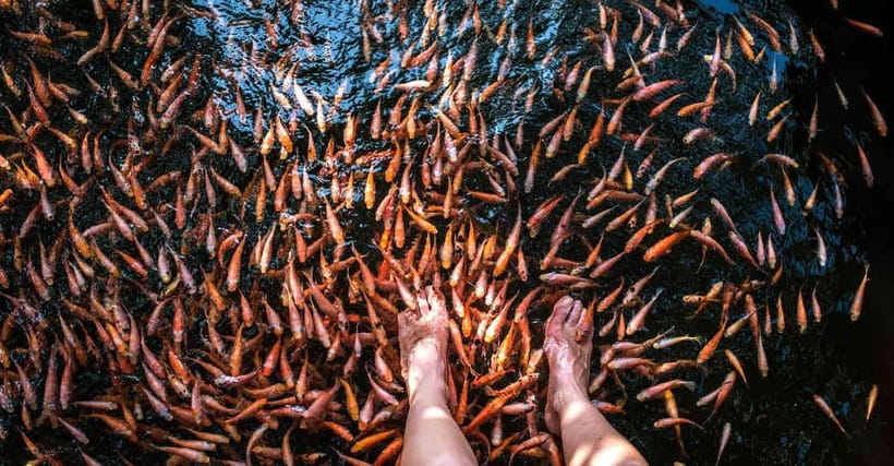 Madu River Boat Tour and Cinnamon Garden visit - Is $29 A Fair Price?
