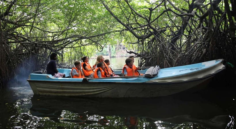 Madu River Boat Tour and Cinnamon Garden visit - Through The Madu River Mangroves