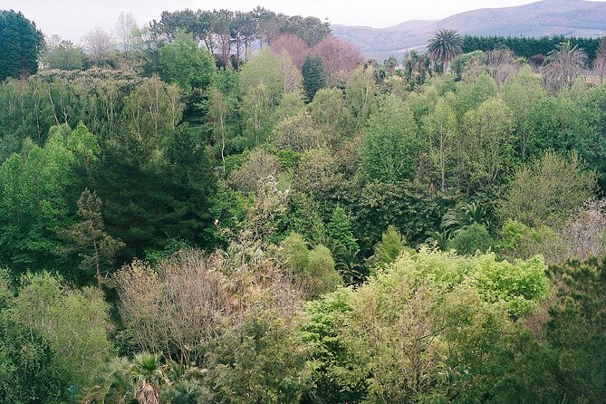 Magical and Exclusive Private Visit to the Fonte Baxa Garden, Luarca - Why Fonte Baxa feels different from an ordinary garden visit