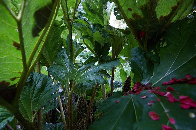 Magical and Exclusive Private Visit to the Fonte Baxa Garden, Luarca - Who will enjoy this two-hour visit most
