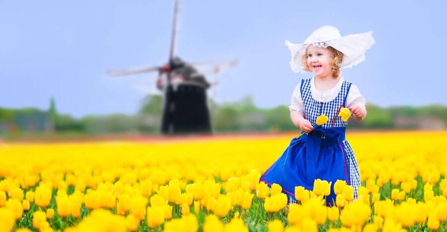 Magical Delft and the Keukenhof Estate: Tulips Galore - Why this Delft and Keukenhof pairing works