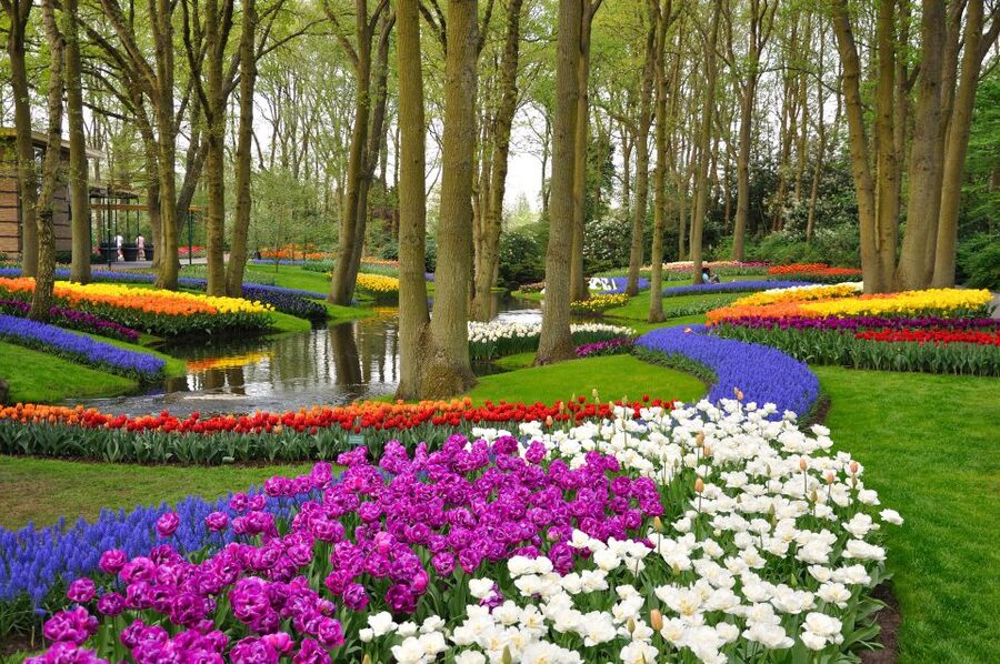 Magical Delft and the Keukenhof Estate: Tulips Galore - Lunch and free time in Delft