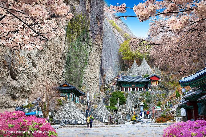 Maisan Cherry Blossom and Jeonju Hanok Village - The road from Maisan to Jeonju
