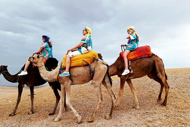 Majorel garden with lunch and camel ride Experience in Agafay - Why this combination works in one day