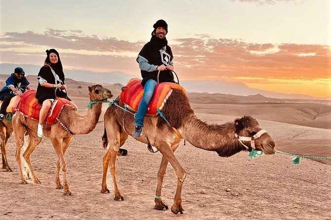 Majorel garden with lunch and camel ride Experience in Agafay - Three hours inside Jardin Majorelle