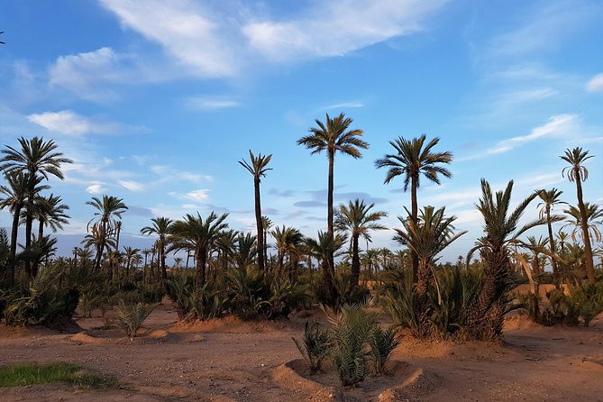 Majorelle Garden and Camel Ride Tour from Marrakech - A closer look at Berber culture
