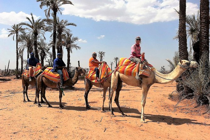 Majorelle Garden and Camel Ride Tour from Marrakech - Tea and pancakes in a Berber family home