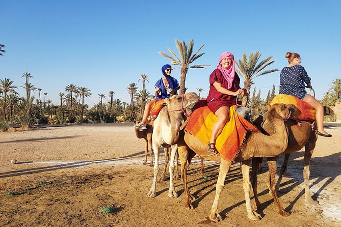 Majorelle Garden and Camel Ride Tour from Marrakech - Why the small group and included transport matter