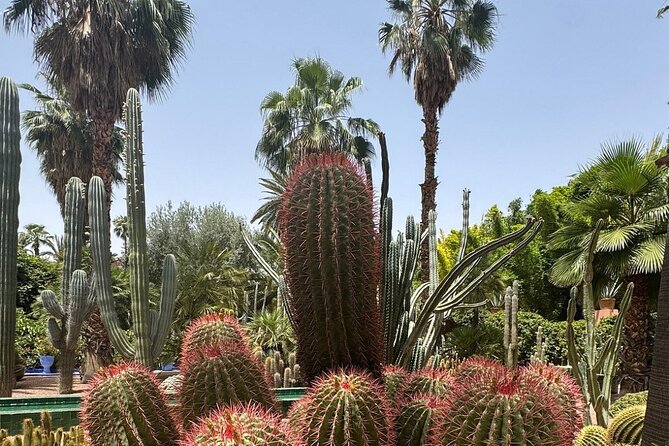 Majorelle Garden, St Laurent and Berber Museum Round Trip Ticket - The Berber Museum’s jewelry, textiles, and everyday objects