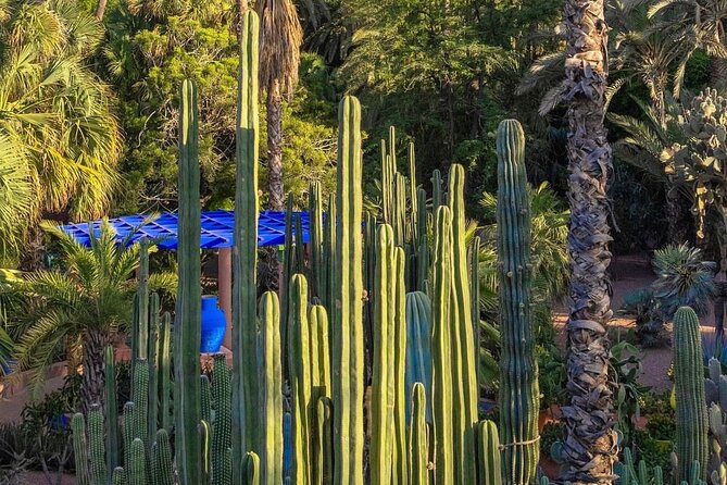 Majorelle Garden, St Laurent and Berber Museum Round Trip Ticket - Independent visit or private guide?
