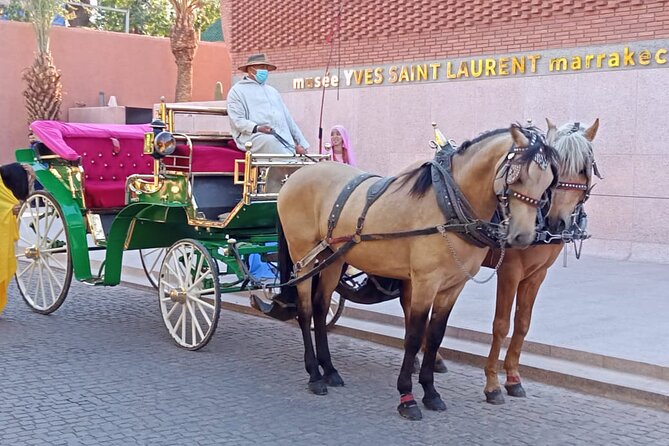 Majorelle-Menara garden & the Yves Saint Laurent museum Horse carriage tours - Majorelle Garden: bright plants and a tight one-hour window