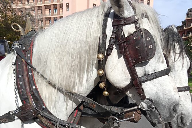 Majorelle-Menara garden & the Yves Saint Laurent museum Horse carriage tours - What the private format does well